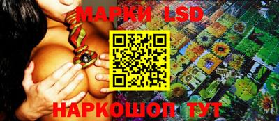 прущие крисы Аргун