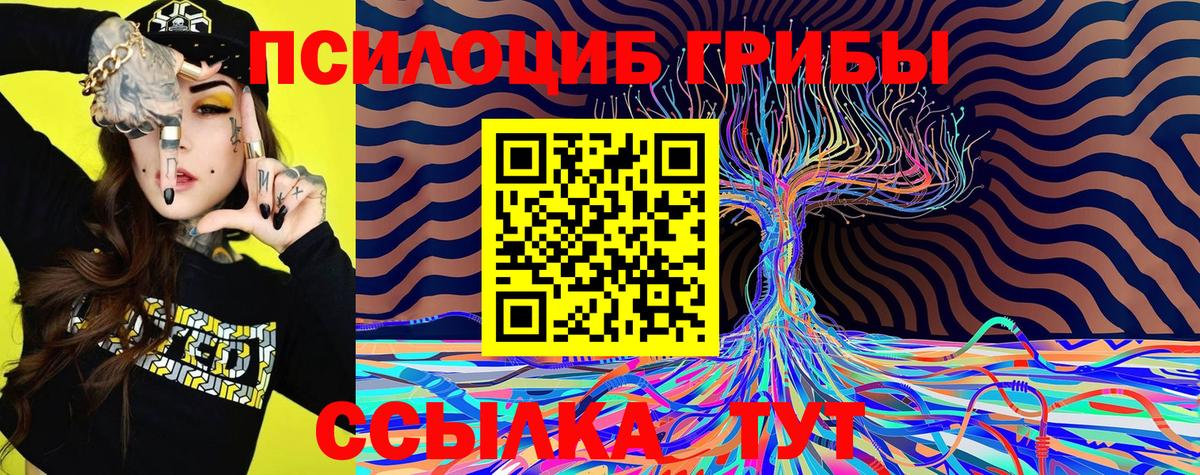 Галлюциногенные грибы GOLDEN TEACHER  Канск 