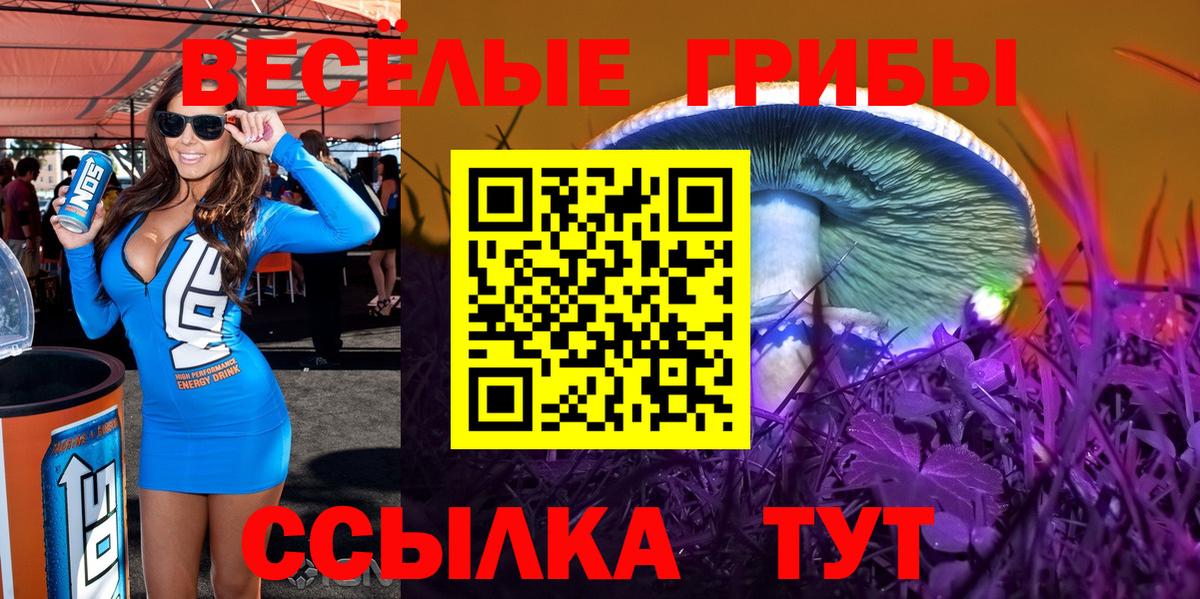 Псилоцибиновые грибы Cubensis Канск