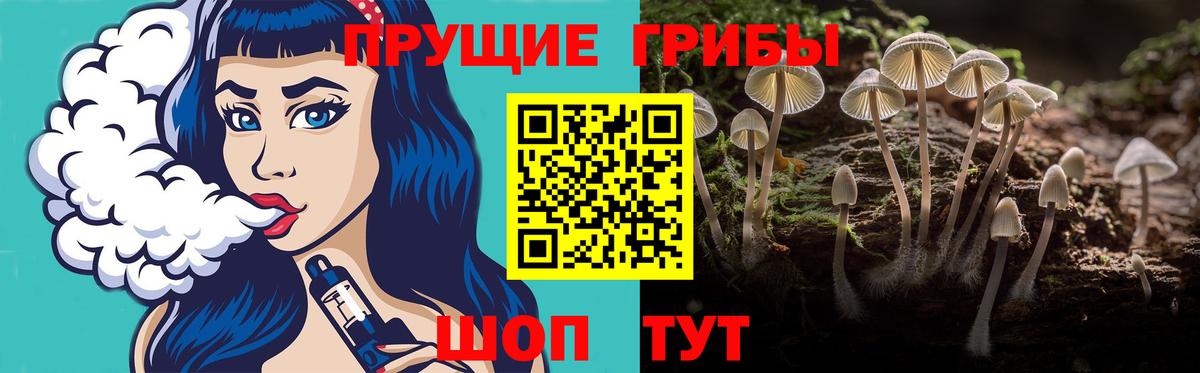 Галлюциногенные грибы Cubensis Канск